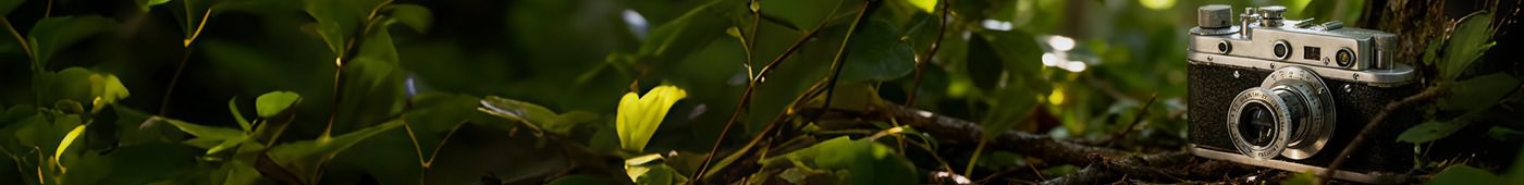 每一条评论，都是一个故事！